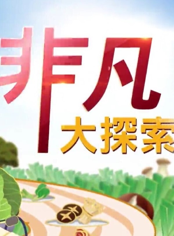 网红小姐姐露点那么好的福利快来看 - 绿色小导航